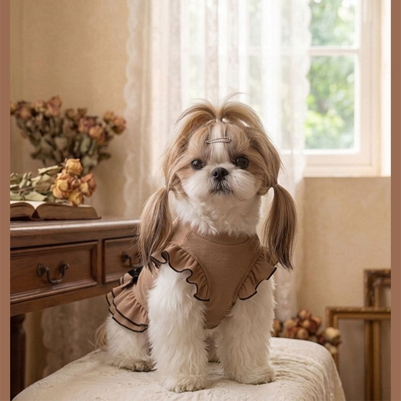 Vintage Heart Bow Pattern Dog  - đánh giá và giá Vintage Outdoor Fashion